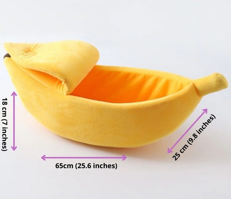 banana cat house dimensions