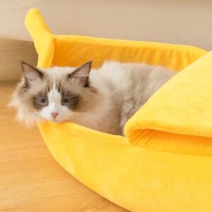 banana cat bed