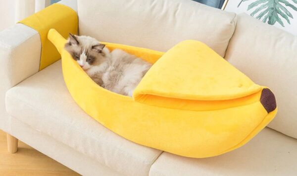 banana cat bed