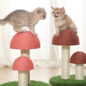 Cat Climbing Mushroom