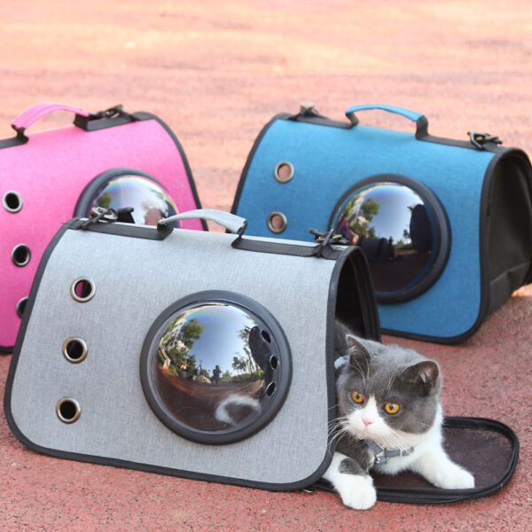 Cat Shuttle Backpack