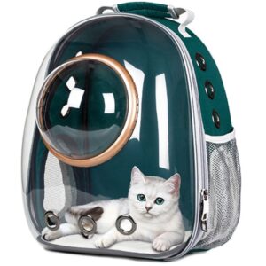 green cat space bag