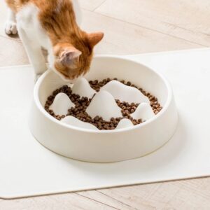 Slow Feeder Bowl