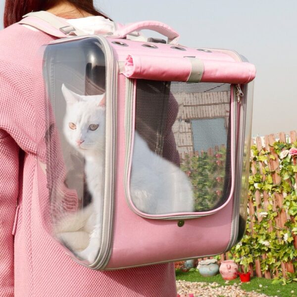 Cat Backpack Breeze