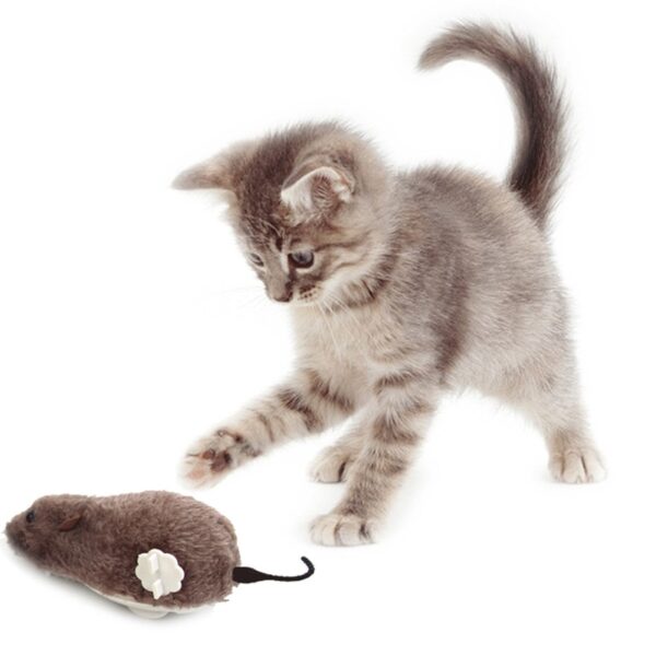 Mouse Turn & Go