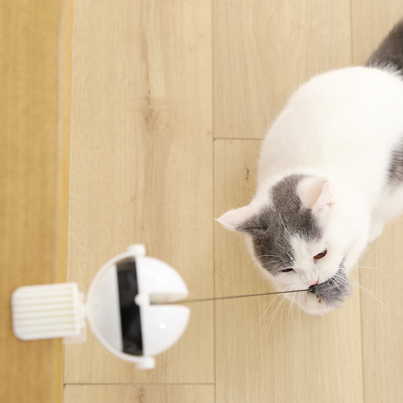 Electric cat clip toy